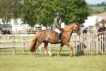 SBM_09741