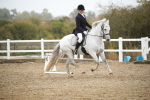 SBM_001263