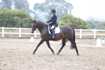 SBM_004703
