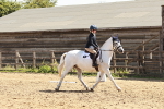 SBM_001801