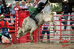 3HRodeo_CFD_JUL_22_2026_03389