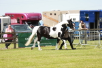 SBM_04116