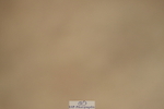 230916A-114940-03723