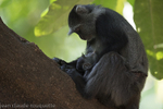 Mother feeding her baby