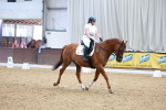 SBM_001029