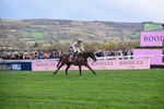 130326-Race 5-Gaelic Warrior-2622