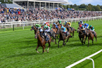 210826-Race 4-Bacio-0247