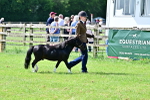 SBM_03407