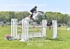 BPP_7454