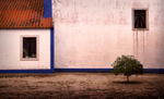 Comporta Church  Small Tree