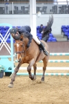 SBM_009676