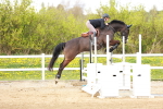 SBM_002647