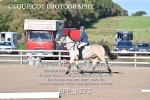 BPP_8275