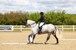 SBM_000564
