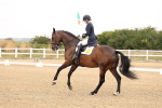 SBM_006015