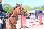 BPP_5119
