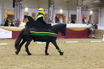 SBM_09822