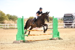 SBM_000663