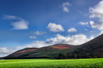 Cheviot Hills