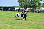 SBM_03450