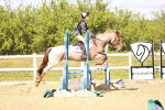 SBM_002646