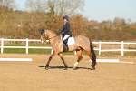 SBM_004678