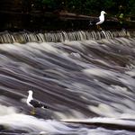 blairgowrie waterfall