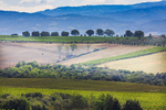 Tuscan Countryside