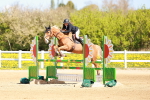 SBM_001354