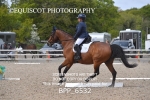 BPP_6532