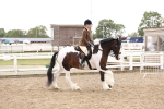 SBM_04194