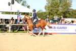 SBM_14959