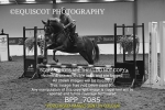 BPP_7085