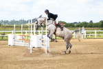 SBM_003491