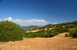 Los Alcornocales, Andalucia, Spain