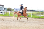 SBM_001746