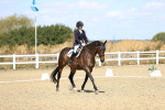 SBM_013891