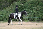 WJ7_0793