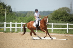 SBM_009488
