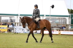 SBM_14685