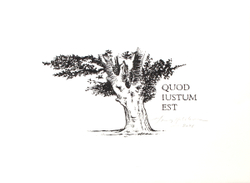 Quod Iustum est