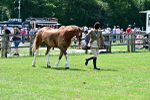 SBM_03912