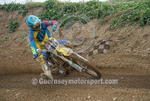 Moto-X_10-10-2015-2