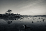 Full Moonlight, Lake Elementaita, Kenya