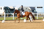 SBM_010676