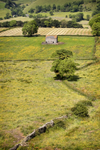 Crowdecote Barn & Trees