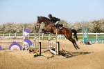 SBM_001271