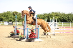 SBM_003719