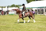 SBM_15530