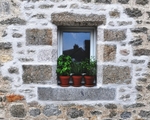 Man in Window